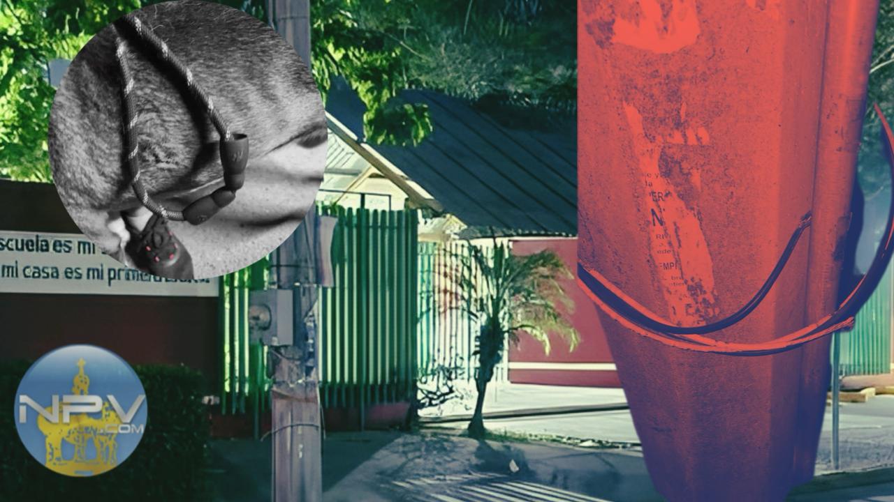 Advertencia en Valle Dorado: Cables expuestos en poste de CFE frente a secundaria