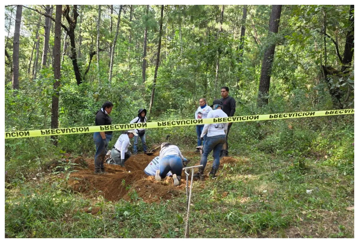 Descubren cuatro cuerpos en una fosa clandestina en la propiedad del diputado Carlos Bautista en Uruapan