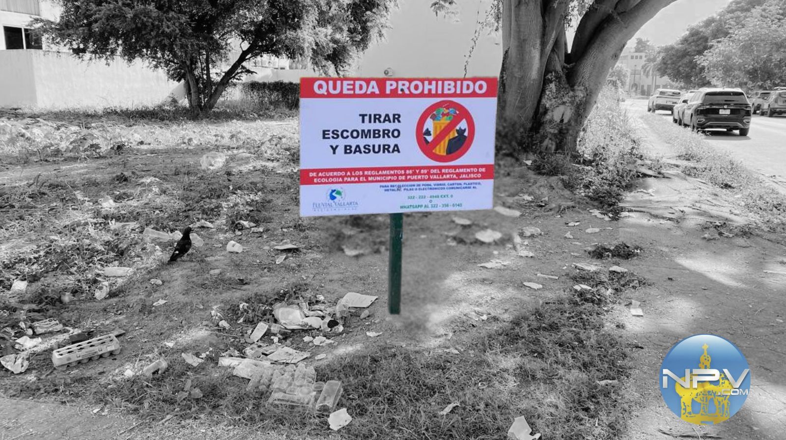 Familias ignoran advertencias y siguen tirando basura en terrenos vacíos de Puerto Vallarta