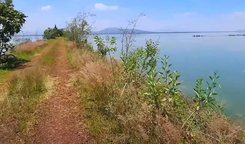 La recuperación del Lago de Texcoco avanza con más de 4,000 hectáreas sumergidas