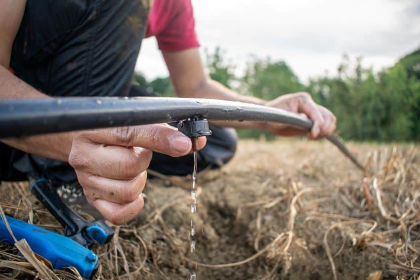 ¿Está viviendo México una crisis hídrica en su sector agrícola?