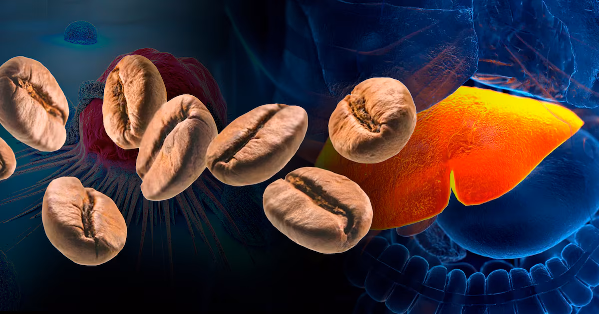 ¿Quién diría cuántas tazas de café al día son necesarias para cuidar tu hígado de la cirrosis, fibrosis hepática y el hígado graso?