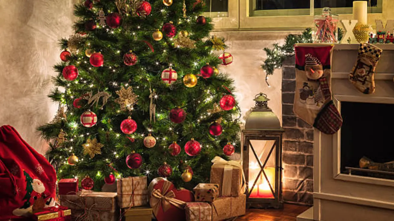 Árbol natural o artificial: lo que debes saber antes de elegir tu árbol navideño en México