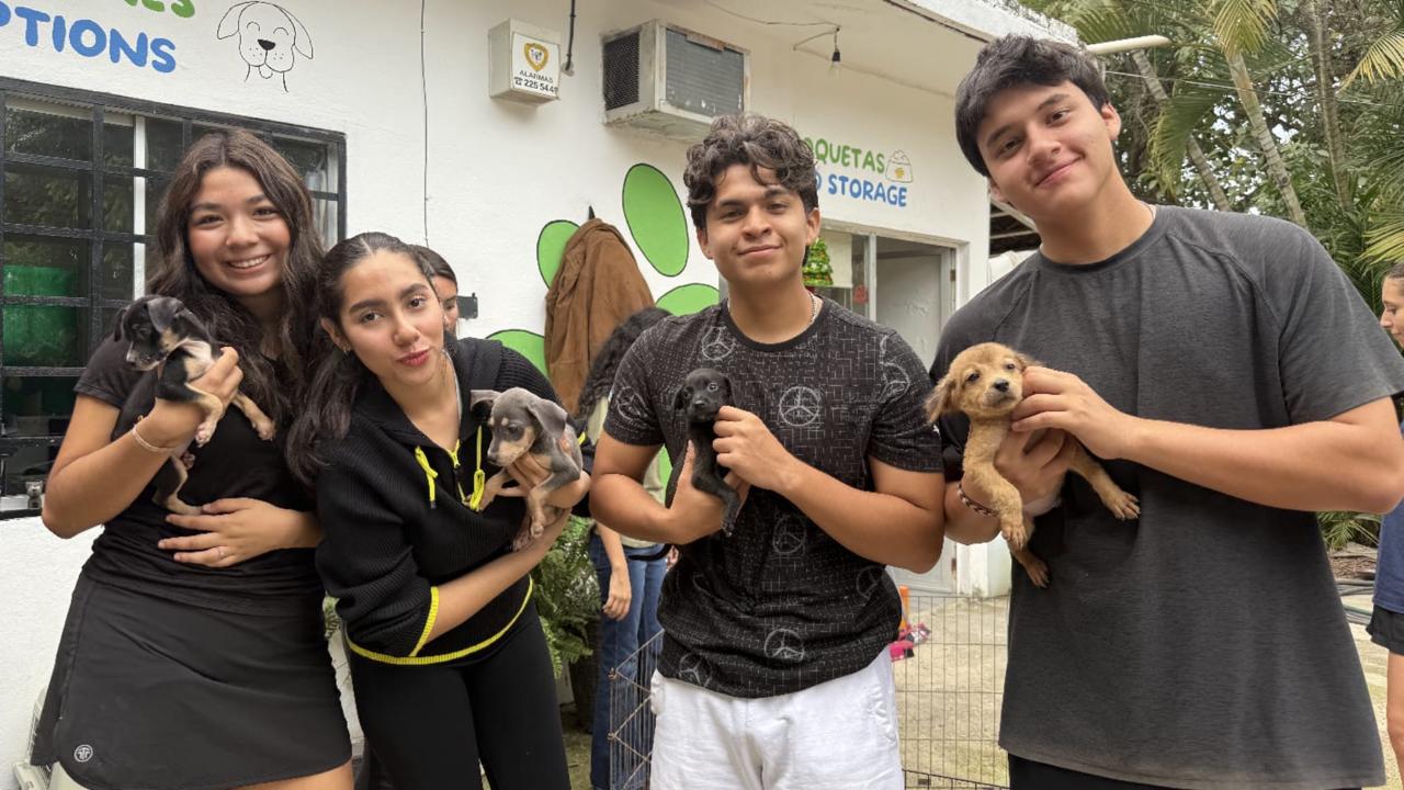 Bienestar Animal invita a estudiantes a promover el cuidado y la protección de los animales