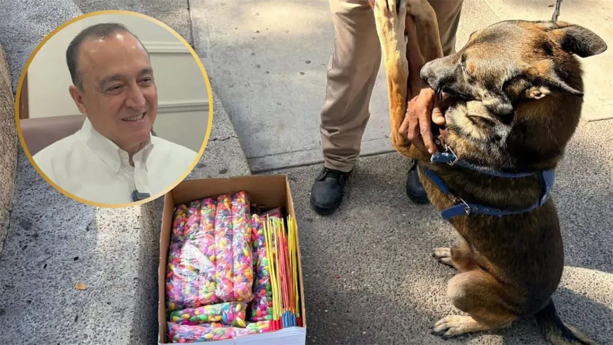 Cerraron tiendas en Los Mochis por comercializar pirotecnia de manera ilícita