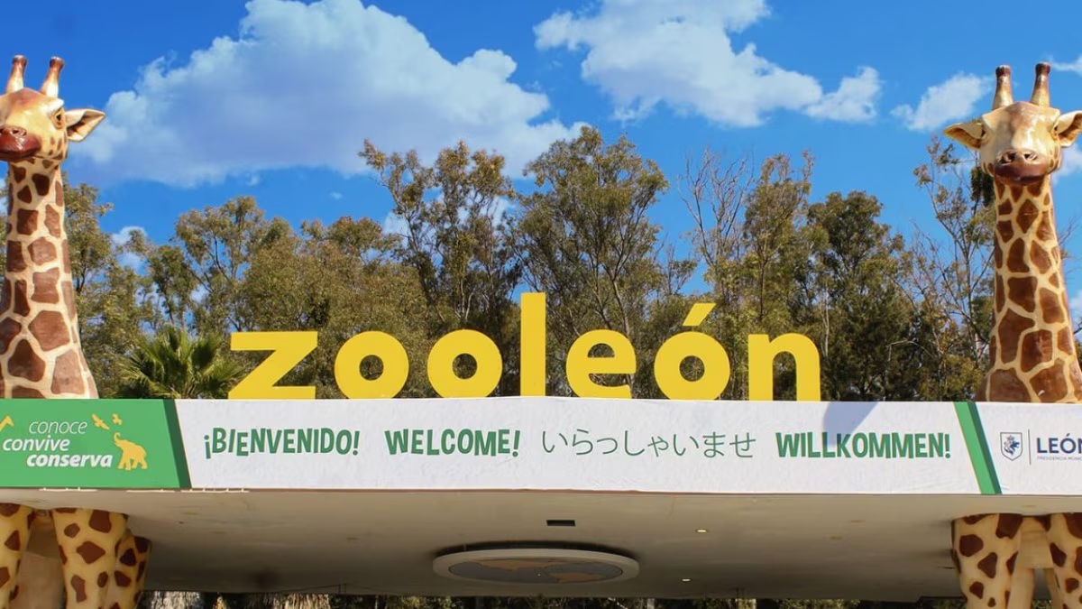 Cese de actividades en el Zoológico de León por denuncias de maltrato animal