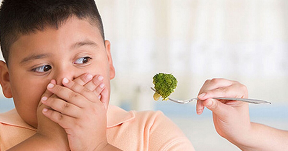 Crisis de nutrición infantil en Sinaloa: desnutrición en áreas rurales y obesidad en las ciudades