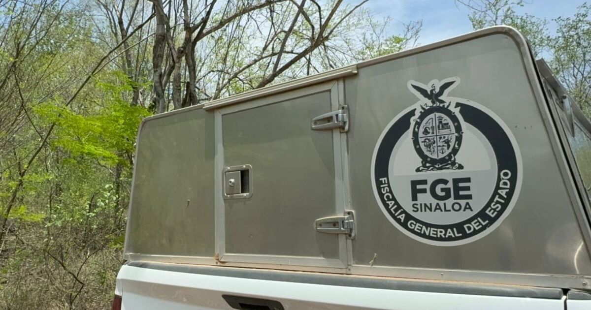 Descubren cuatro cadáveres en una fosa clandestina en El Alhuate, Culiacán