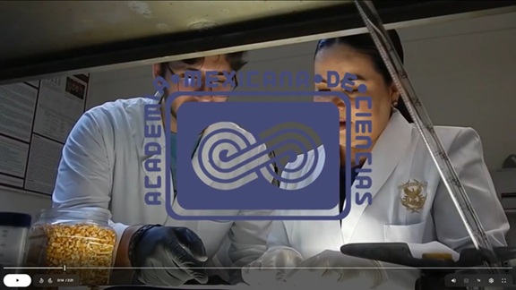 Dos científicos de la UAS se integran a la Academia Mexicana de Ciencias