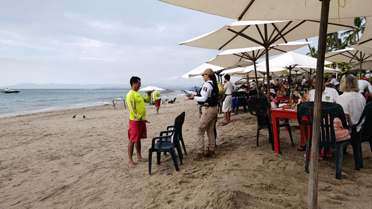 Ecobac advierte sobre los peligros en Bahía de Banderas tras accidente fatal con una ballena