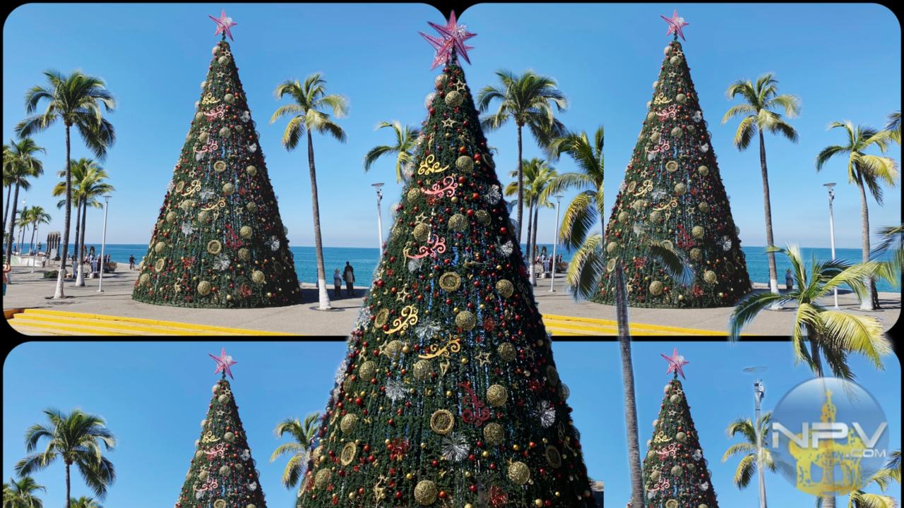 El árbol de Navidad del Malecón ilumina la magia de las fiestas en Puerto Vallarta