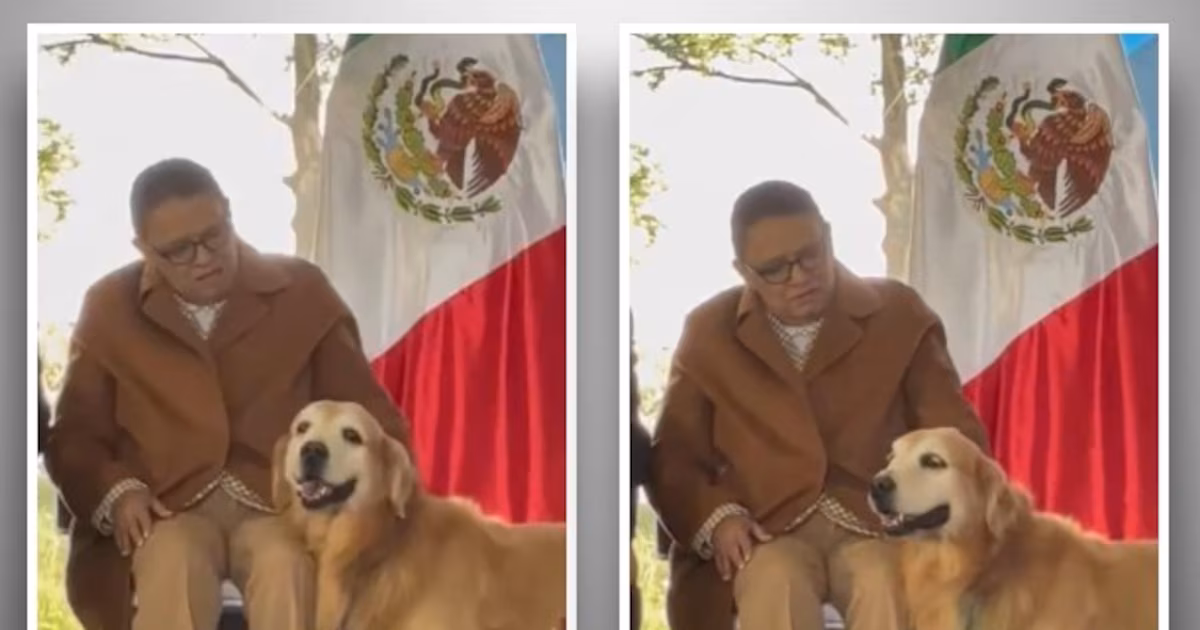 El conmovedor encuentro entre Rosa Icela Rodríguez y Tommy, la mascota de Alejandro Armenta, se hace viral en las redes sociales