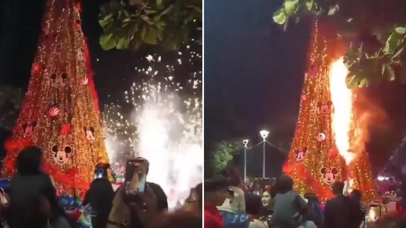 Encendido navideño se torna trágico con incendio de árbol en Bahía de Banderas, Nayarit | VIDEO