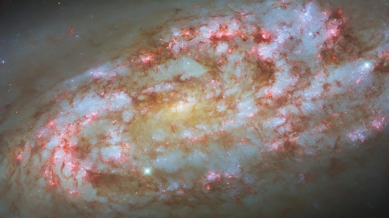 Hubble presenta una impresionante imagen de la galaxia NGC 1792, un epicentro de intensa formación de estrellas