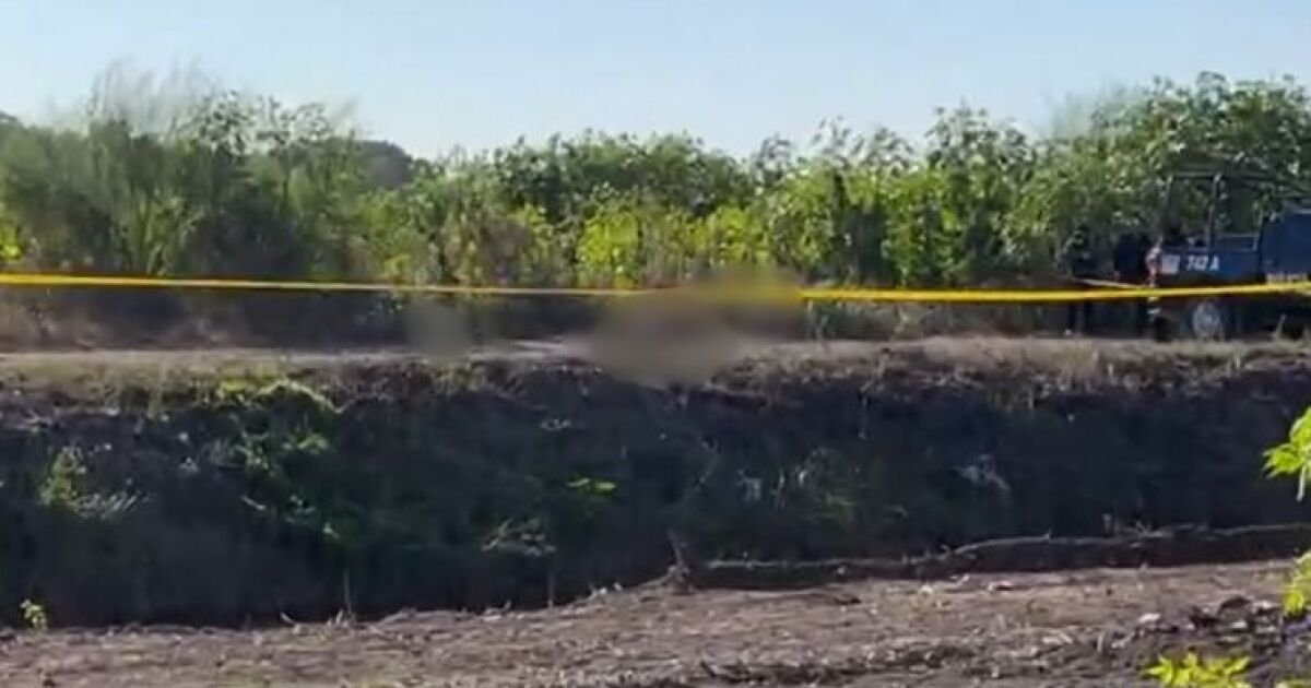 Identifican a uno de los hombres asesinados en San Pedro, Navolato: ¡solo tenía 19 años!