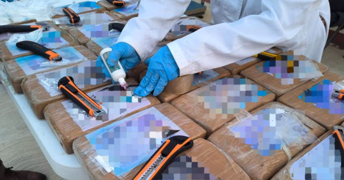 La Marina intercepta alrededor de 30 paquetes de cocaína en el puerto de Acapulco, Guerrero.