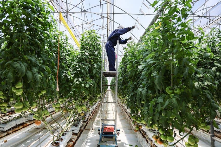 La economía mexicana da un giro, con un crecimiento del 1% en octubre