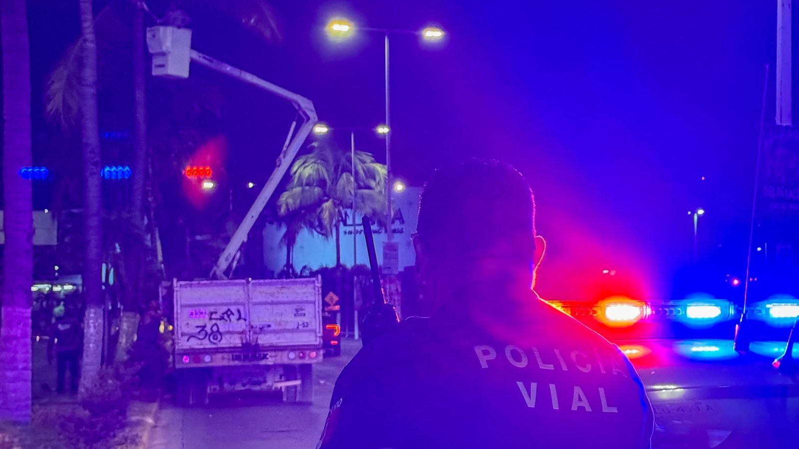 La poda de palmeras en la entrada de Puerto Vallarta mejora la seguridad y el orden urbano