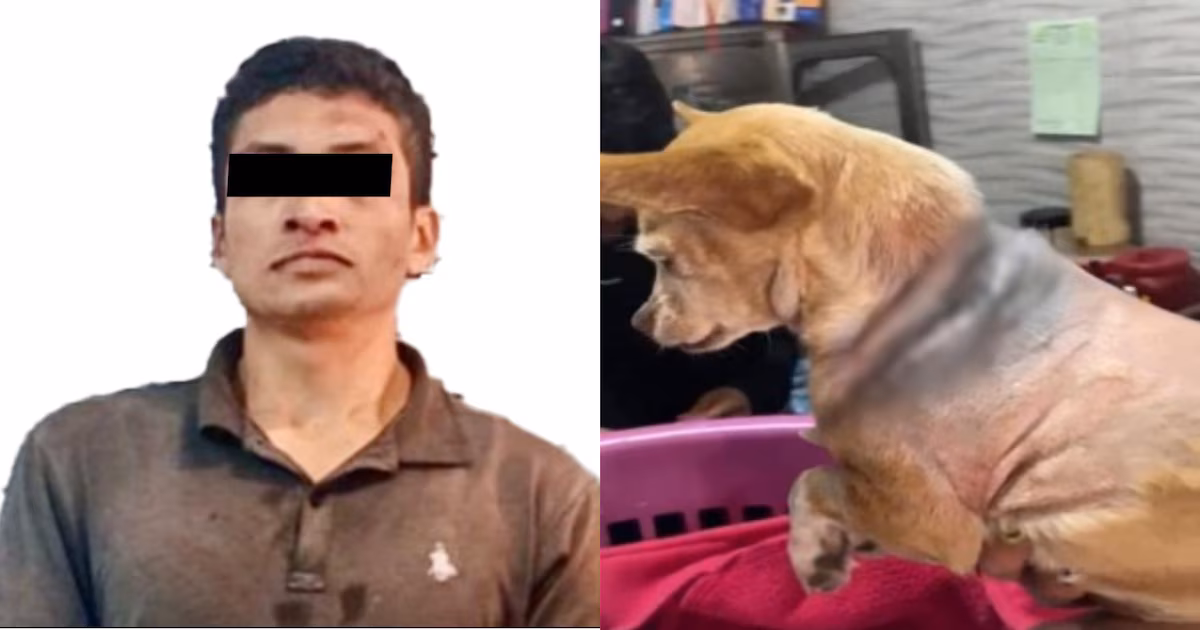 Llevan a juicio al hombre que supuestamente agredió con un machete a la perrita “Martha”