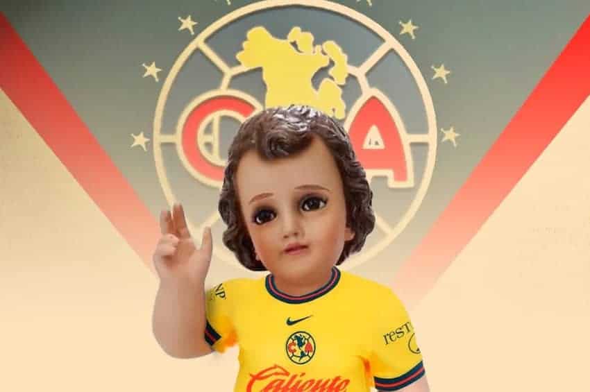 Los momentos más mágicos de México en 2025: Sándwiches premiados, cardenales atrevidos y jirafas rebeldes.