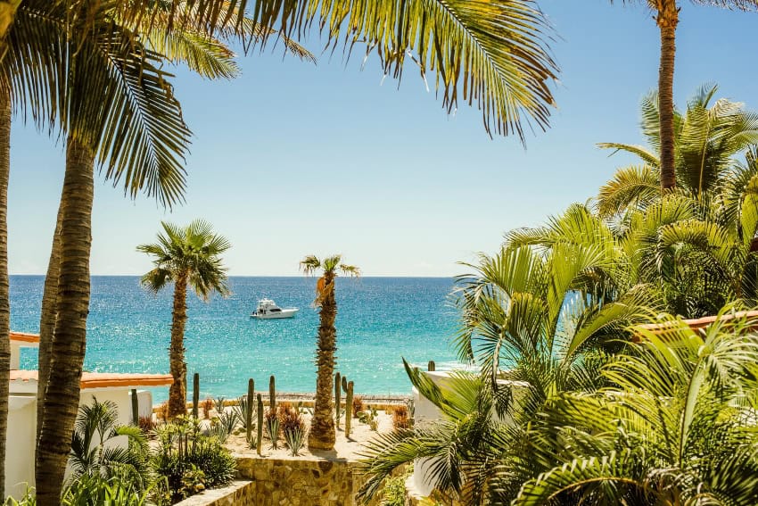 MND Local: Nuevos vuelos, más vendedores ambulantes en la playa y otras novedades de temporada en Los Cabos