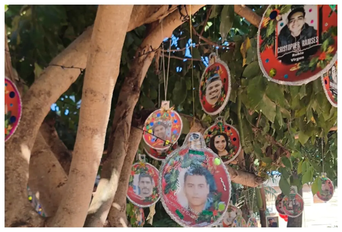 Madres buscadoras adornan árboles de Navidad en Valle de Banderas con imágenes de sus seres queridos desaparecidos