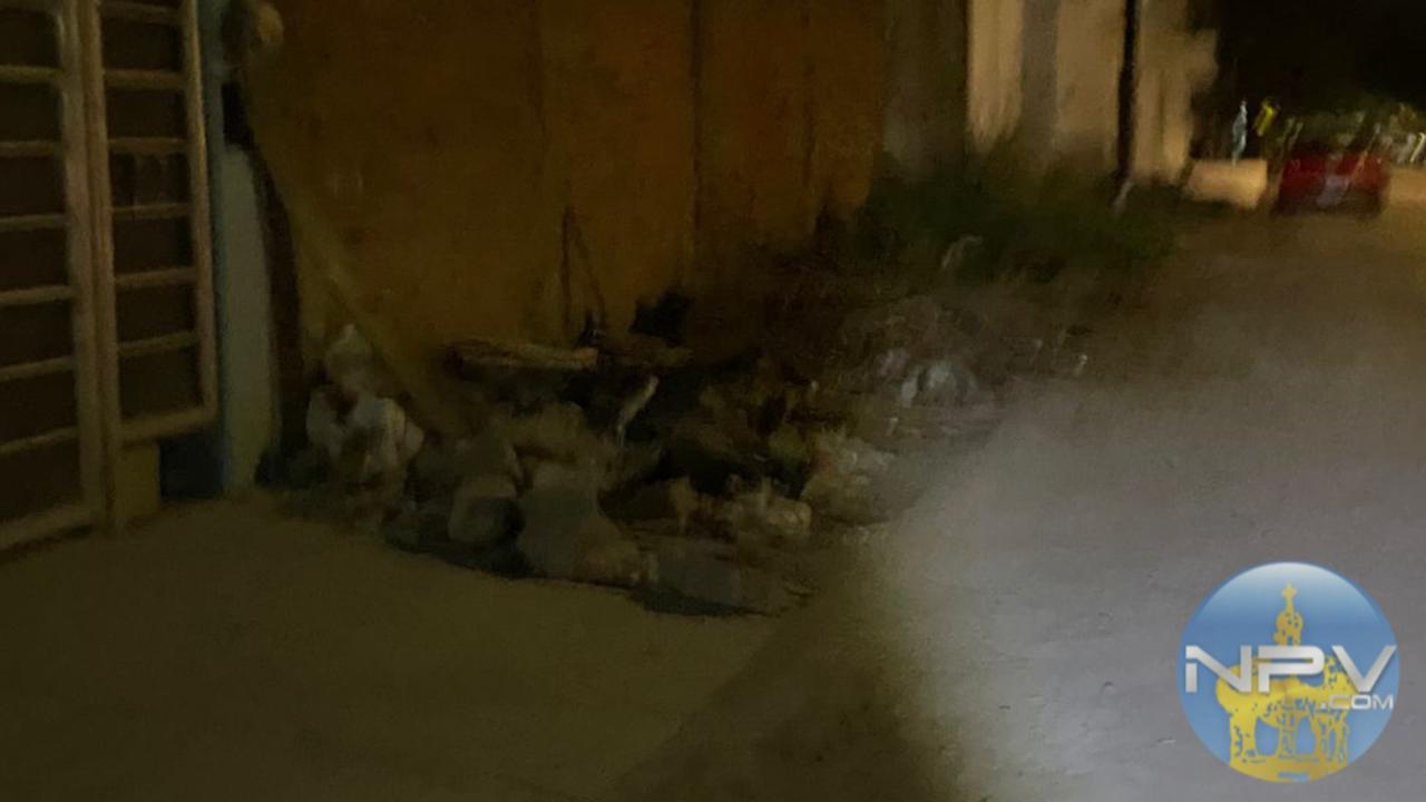 Persisten montones de hojas en las aceras de Puerto Vallarta