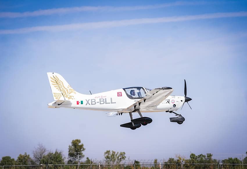 Planes, pirámides y delfines bebés: las historias más leídas de MND en 2025