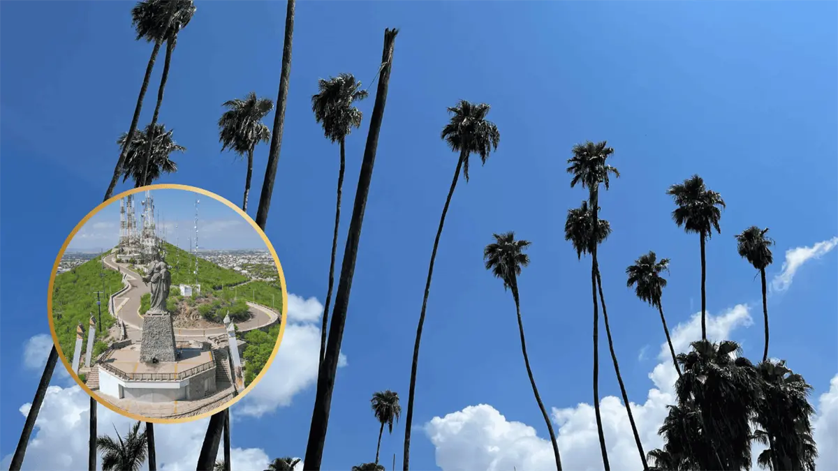 Pronóstico del clima en Los Mochis para este jueves 18 de diciembre: expectativa de calor y cielos soleados