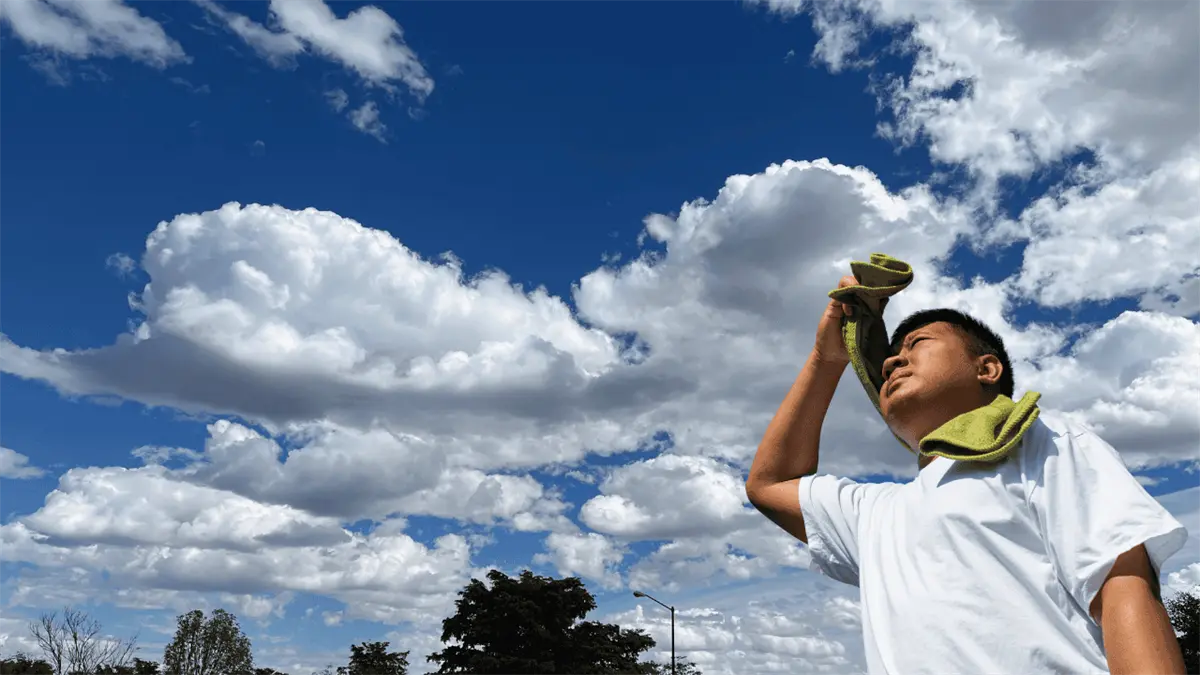 Pronóstico del clima en Los Mochis para este martes 9 de diciembre: nubes y calor destacado