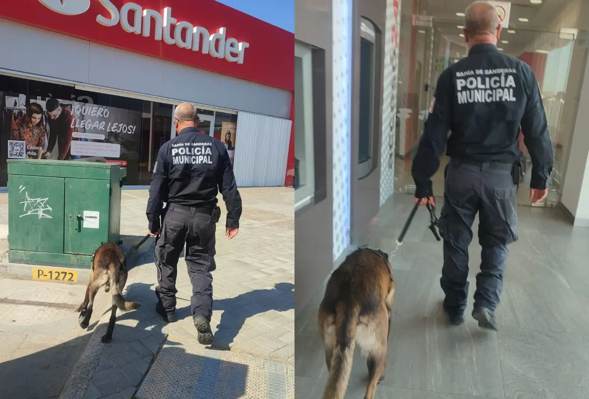 Refuerzan la seguridad en bancos y centros comerciales de Bahía de Banderas con equipos caninos