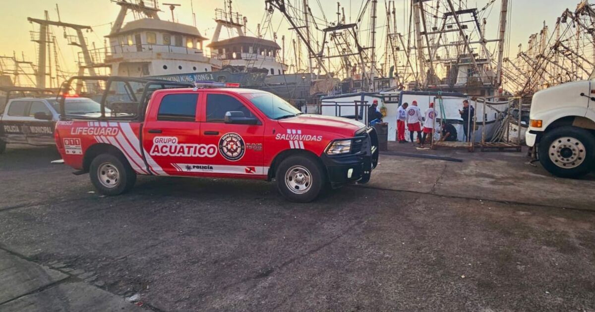 Rescate impactante en Mazatlán: salvavidas ayudan a un hombre atrapado entre barcos en el área de astilleros
