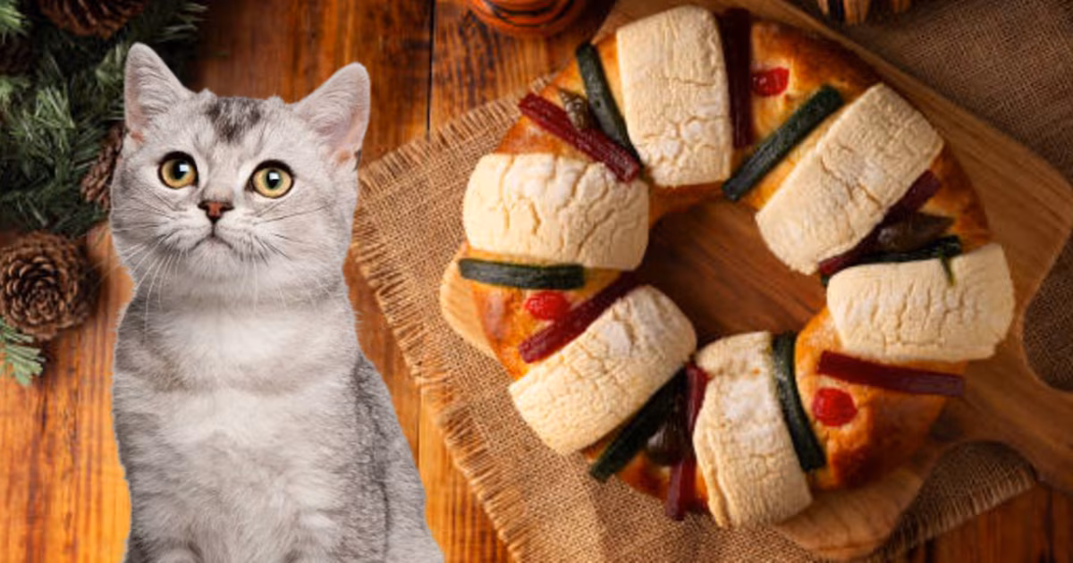 Rosca de Reyes inspirada en gatos: ¿Dónde encontrarlas en CDMX?