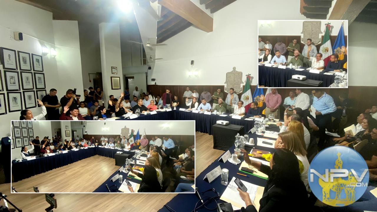 Se evalúa la actualización de sanciones por el delito de tala ilegal de árboles