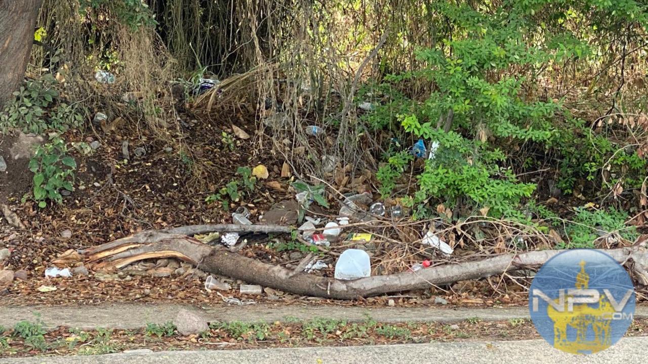 Se incrementan los vertederos ilegales de basura en Puerto Vallarta