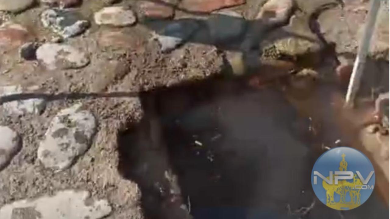 Seapal identifica una fuga que genera olores desagradables en Villa de Guadalupe