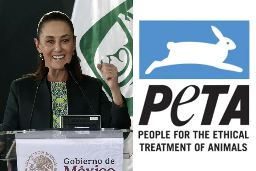 Sheinbaum es reconocida como la persona del año de PETA Latino por su compromiso con el bienestar animal