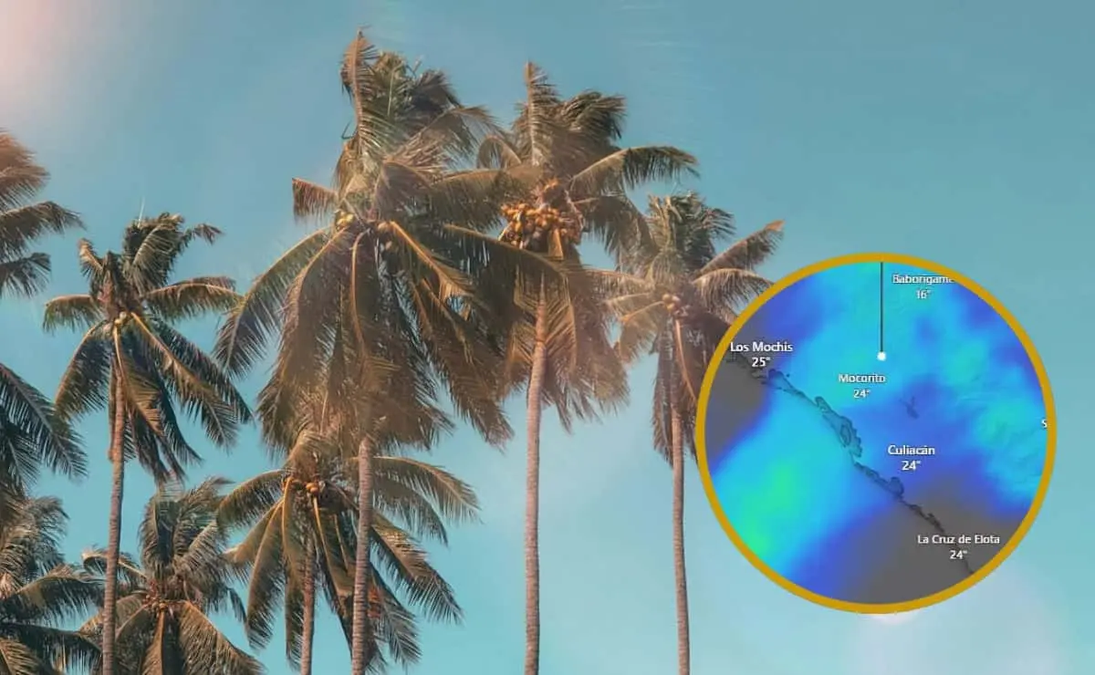 Sinaloa enfrentará un calor inusual tras Navidad con temperaturas récord y vientos intensos