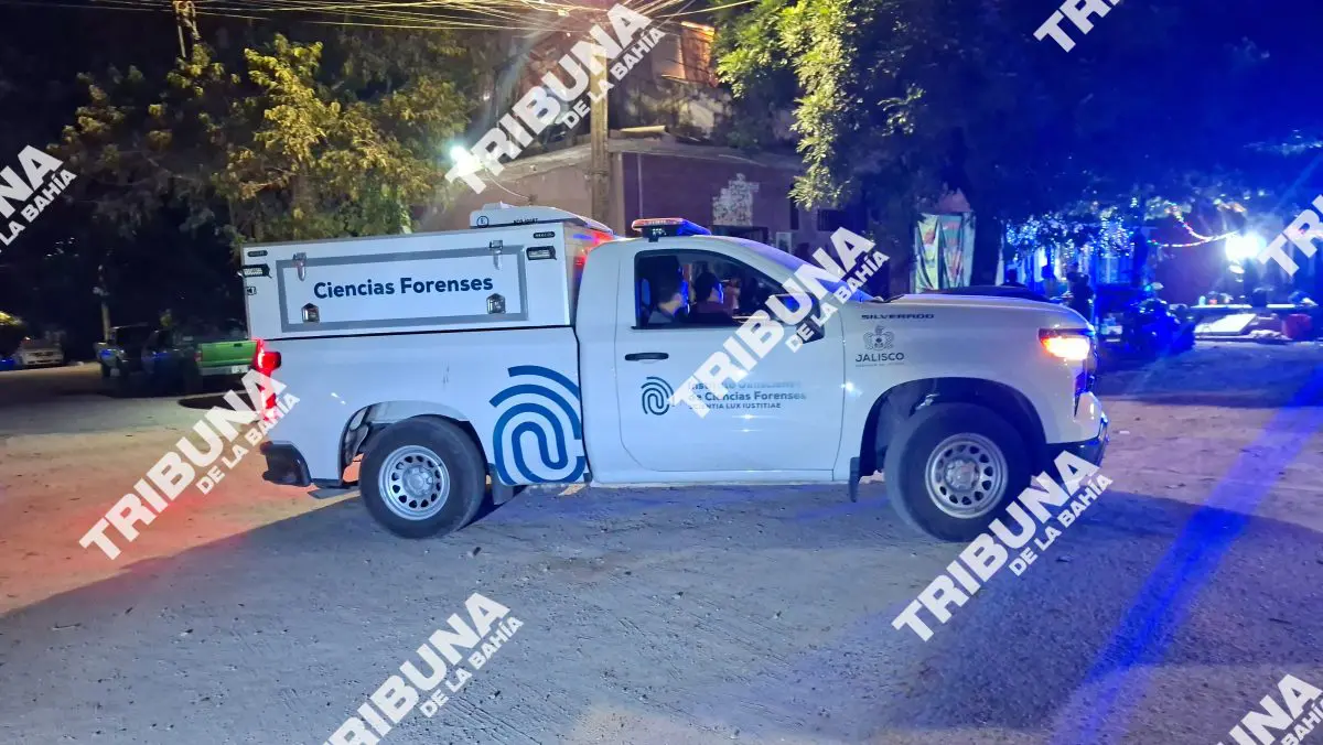 Tragedia navideña: encuentran a un joven sin vida en Palmar del Progreso