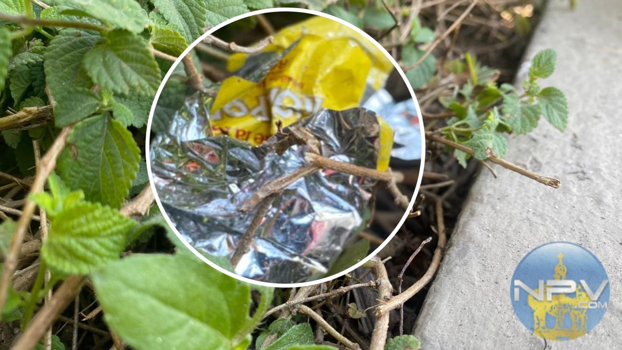 Una única bolsa de basura revela la escasa conciencia ambiental en Puerto Vallarta.