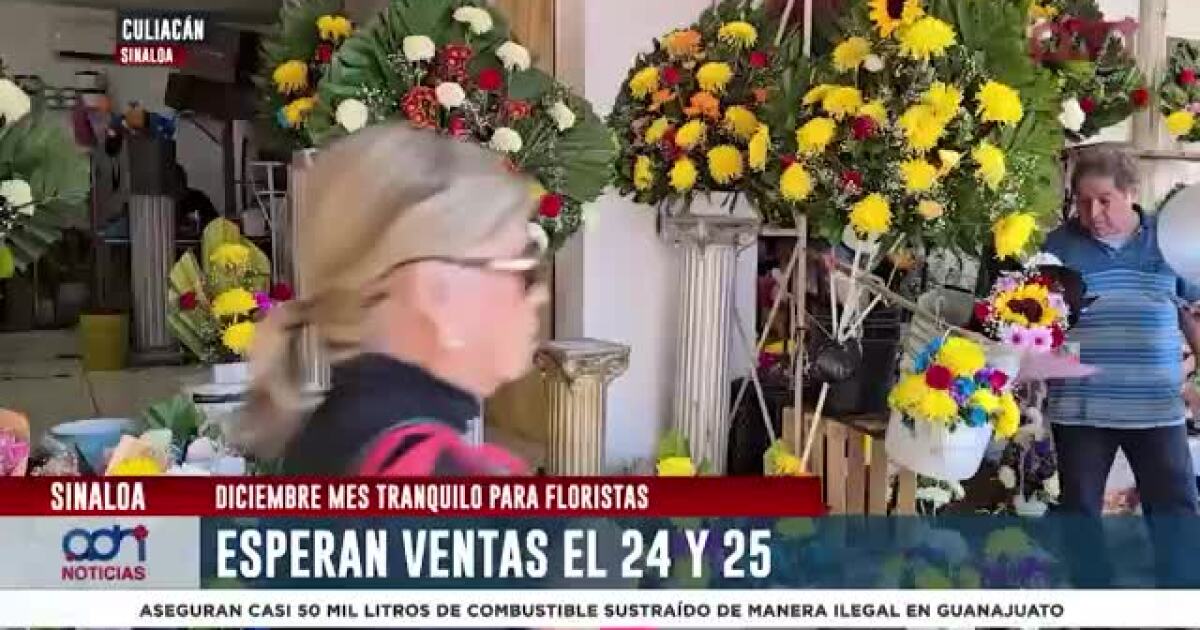 VIDEO| Comerciantes de flores en Culiacán anticipan un aumento en ventas por la temporada navideña