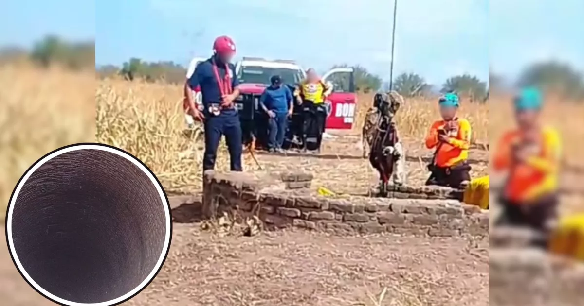VIDEO: ¡Descubren restos humanos cerca de Tamazula II en Salvador Alvarado mientras estaban en una noria!
