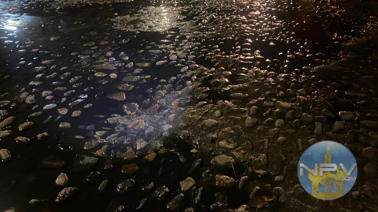 Vecinos alertan sobre el vertido de agua en la colonia Díaz Ordaz