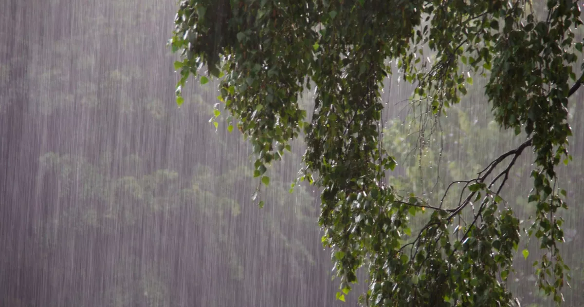 ¡Preparemos los paraguas! Se prevé una semana de intensas lluvias en Sinaloa y este es el total estimado de precipitaciones.