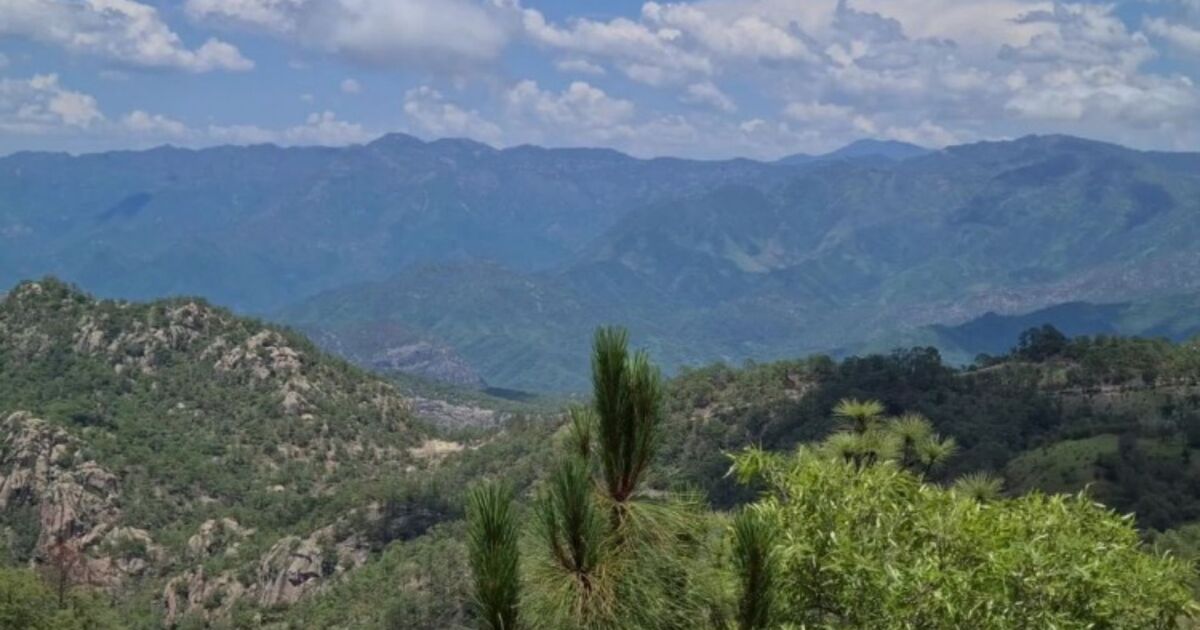 ¿Se prevé frío para mañana? Descubre las temperaturas esperadas en Sinaloa al amanecer del 11 de diciembre.