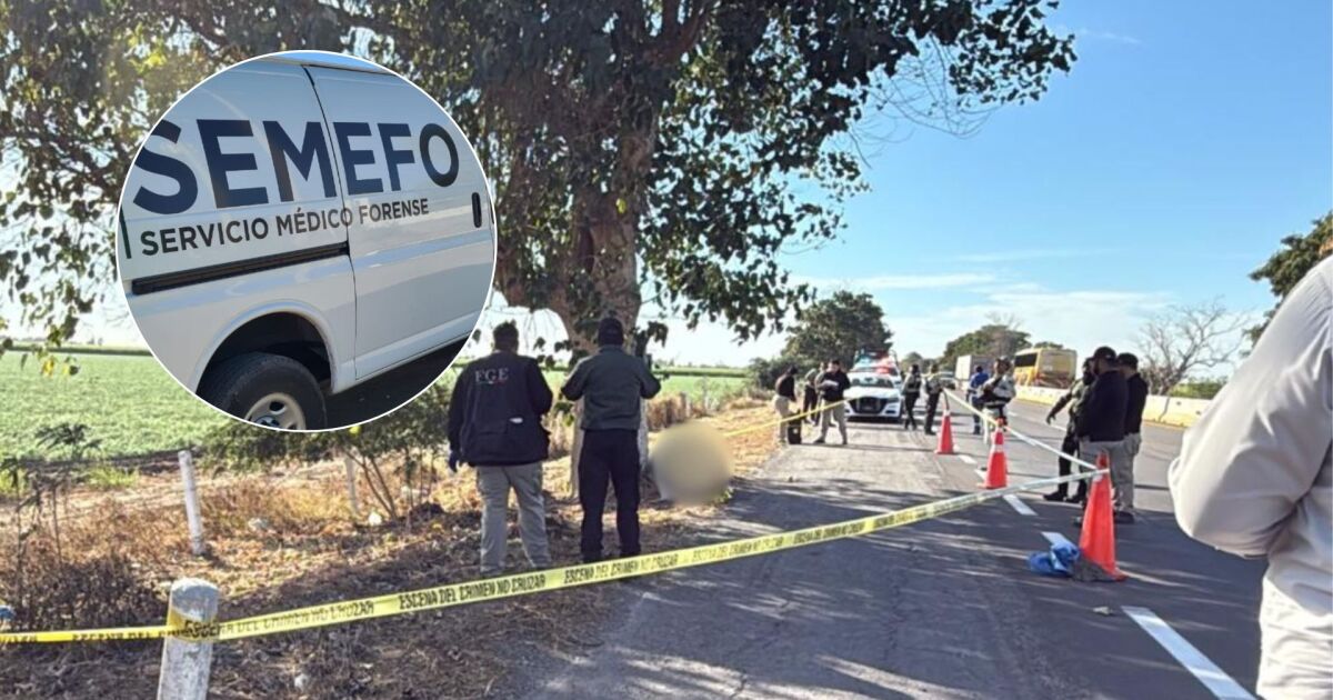 Identifican a los dos hombres asesinados por La Costera en Culiacán: ¡eran hermanos!