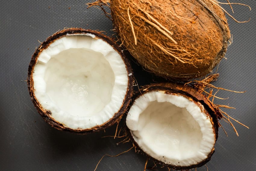 Cocadas, copra y conflicto: La historia del coco en la costa de Guerrero