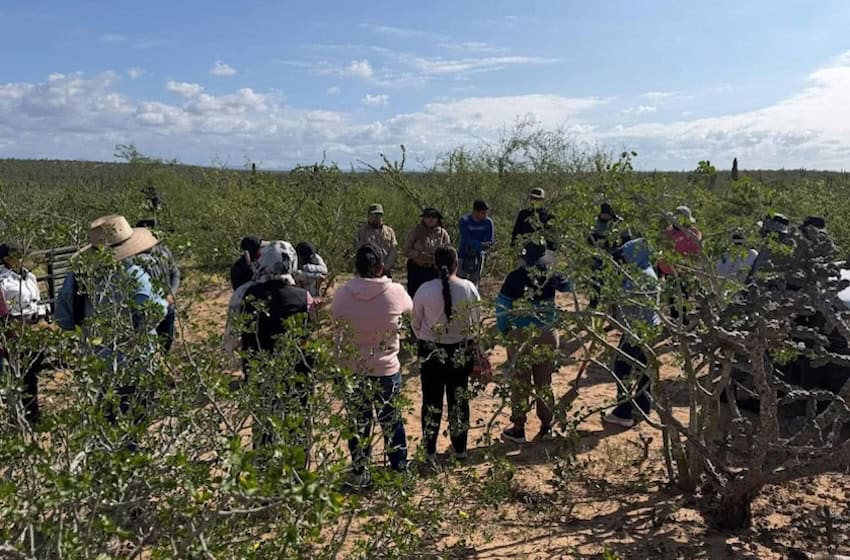 Llamada anónima descubre 5 tumbas clandestinas en Baja California Sur