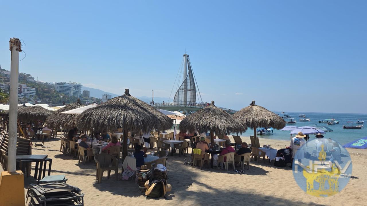 Los turistas confían y disfrutan de Puerto Vallarta