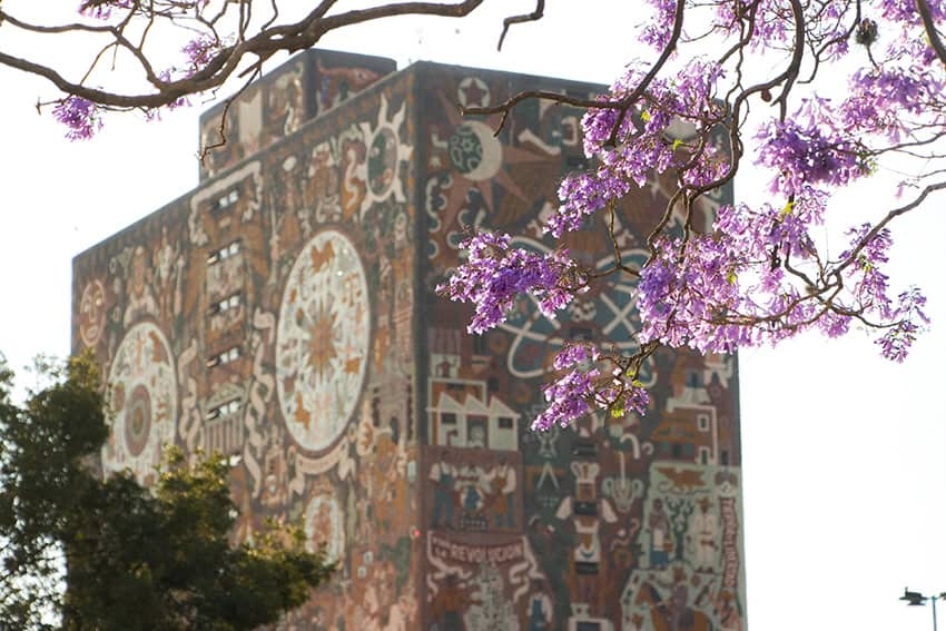 Resumen semanal de México: Arrancan las negociaciones del T-MEC mientras Sheinbaum impulsa la economía digital